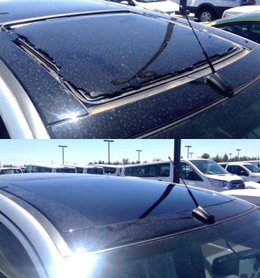 Glass Roof Replacement